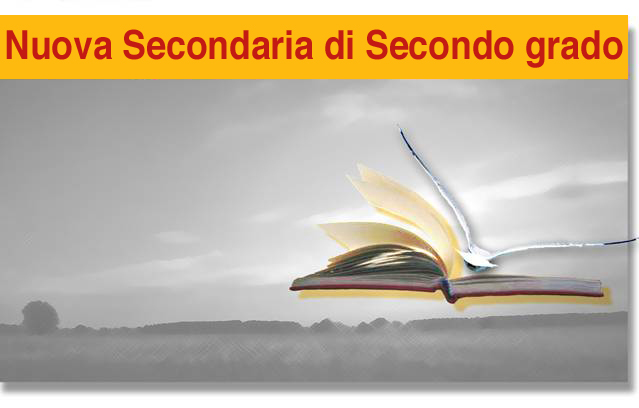 Nuova Seconsaria di Secondo grado